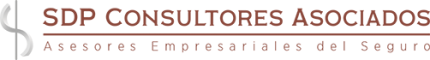Logo de SDP Consultores